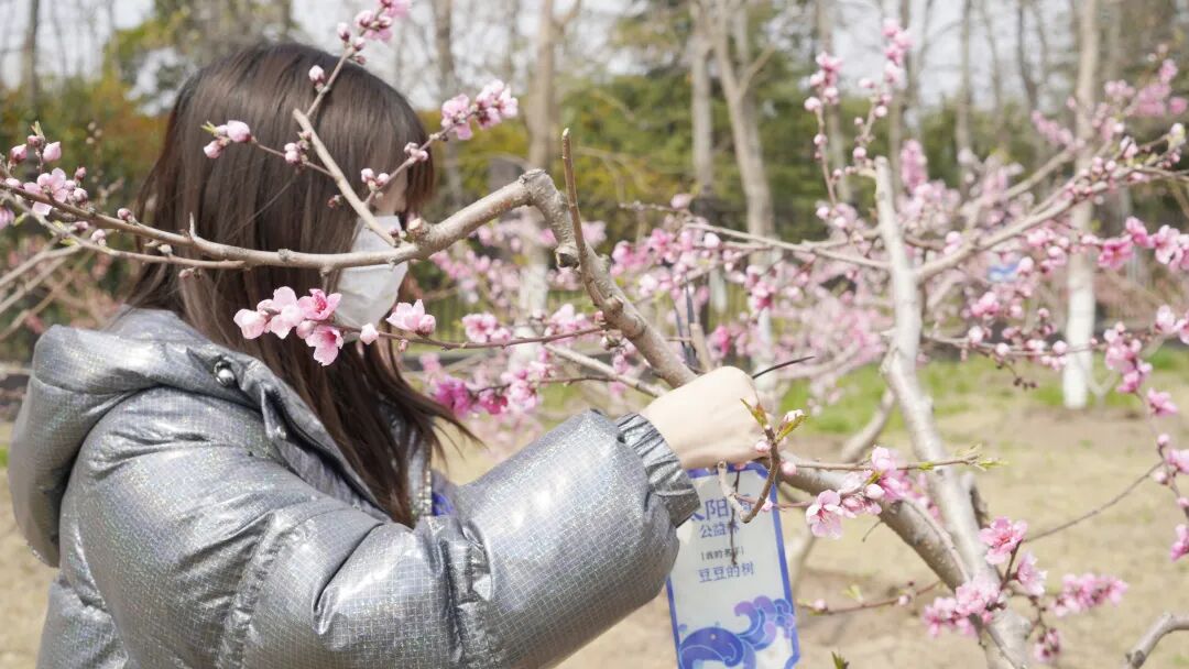 太阳雨净水器公益林正式开园啦！_3