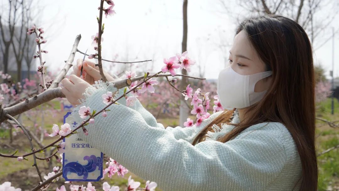 太阳雨净水器公益林正式开园啦！_2