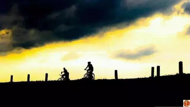 高顿财务培训 自由微信 Freewechat