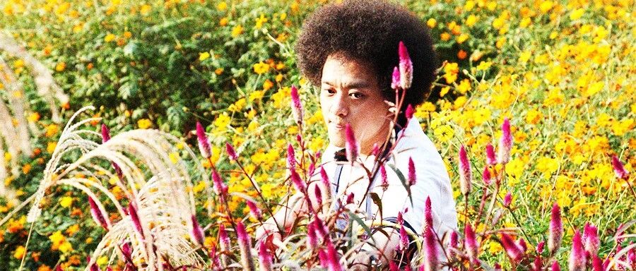 赵英俊的出生日期生辰资料分析