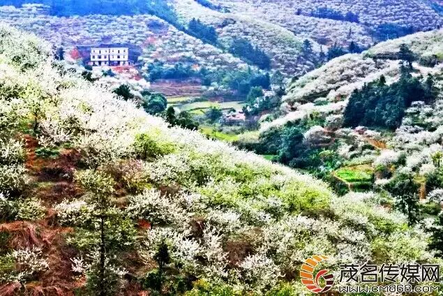 飘雪多少钱一斤_炒花飘雪碧潭飘雪区别_钱飘雪的拼音