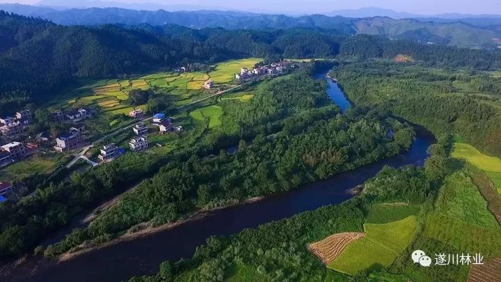 全国唯一蜀水遂川流域竟然有三个村获评为全国生态文化村