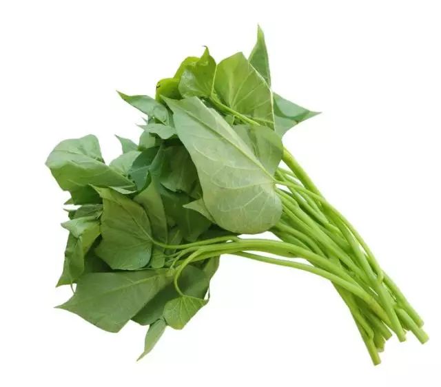 都说多吃蔬菜身体好,这4种常见的绿叶菜,你真的吃对了吗?