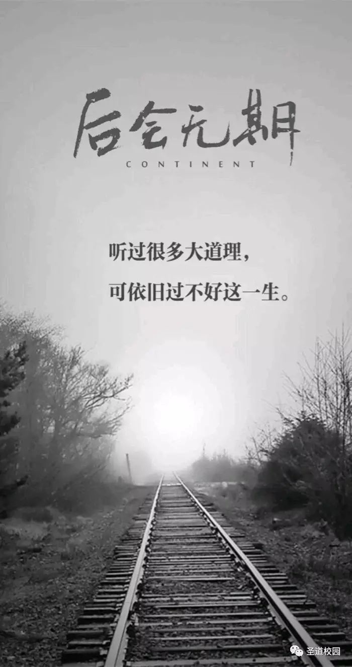 策士 vs 王