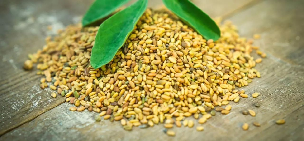 葫芦巴子(fenugreek seed)