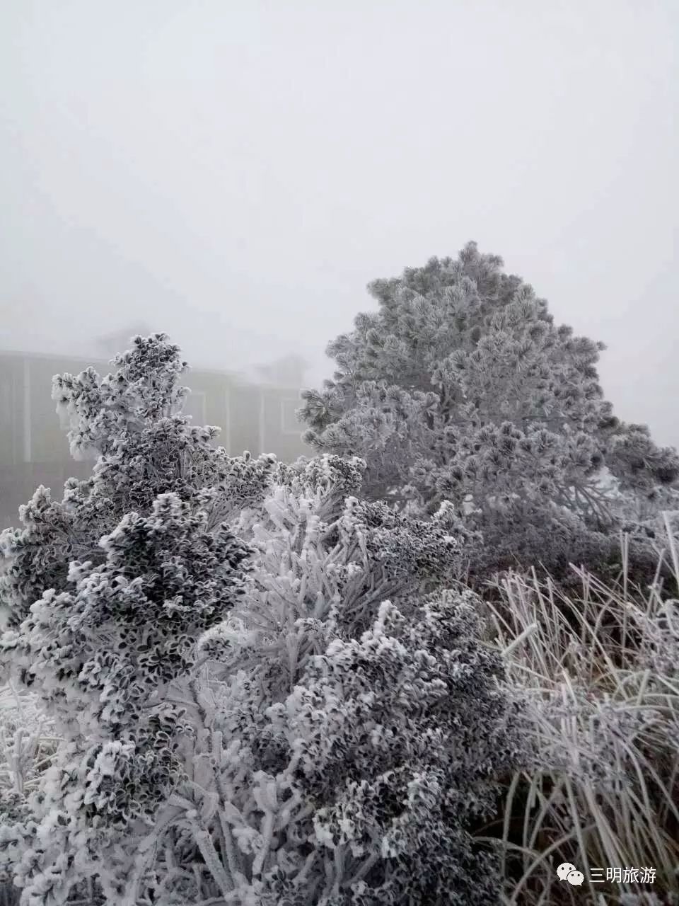 建宁金铙山的雾凇何其美哉!