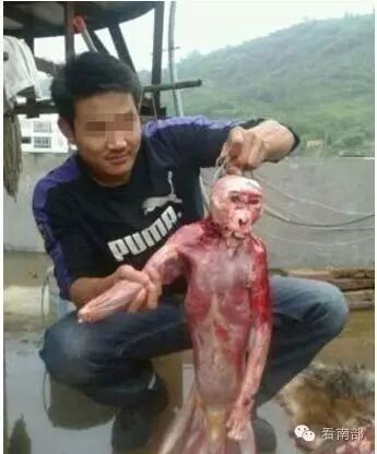 当街给死猫放炮烧纸钱续:怀孕猫咪临产被虐待致死,眼含泪水死不瞑目-怀孕期