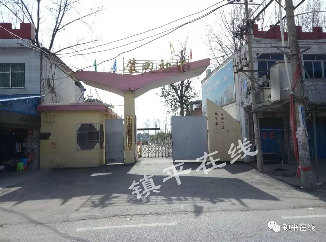 镇平贾宋今天刚拍的,朋友圈都在传!