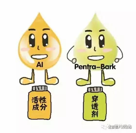 透翠杀牛套餐-蛀干害虫终结者--诺普信透翠套餐防治天牛等蛀干害虫技术分享