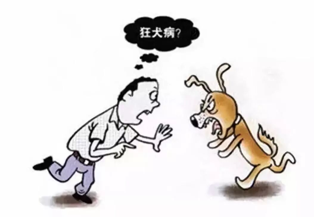 猫打了狂犬疫苗咬人_北京哪里打狂犬育苗_开宠物店打狂犬