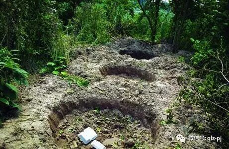 日本在国际推广日式盆景 而使到挖掘山野素材成为主导发展趋势