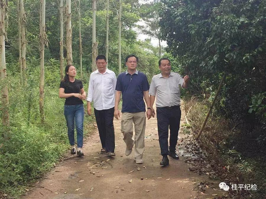 该镇党委书记黎健华关于全镇换届工作和脱贫攻坚工作开展情况的汇报