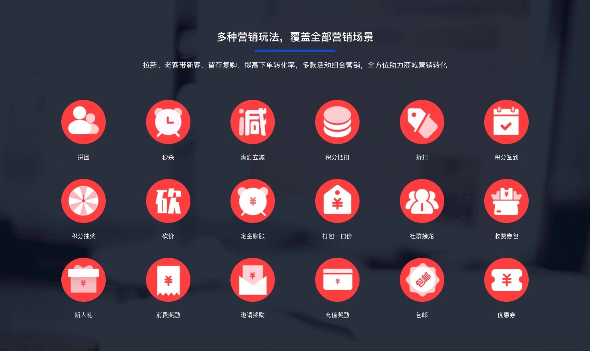 广西后宫网络科技有限公司