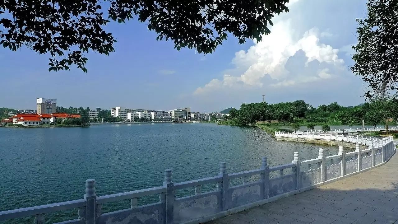 位于"吴头楚尾"的枞阳,千年古镇南临一泻千里的滔滔长江,西傍水路漫长