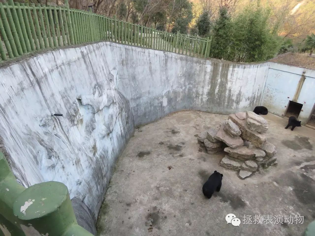 熊坑先来看看这家位于宜兴市张渚镇竹园村的百畅动物园,这家动物园虽
