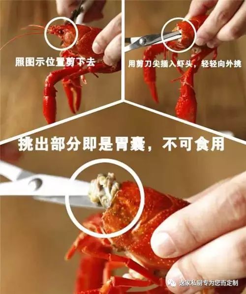 吃虾攻略第五式:剪胃囊