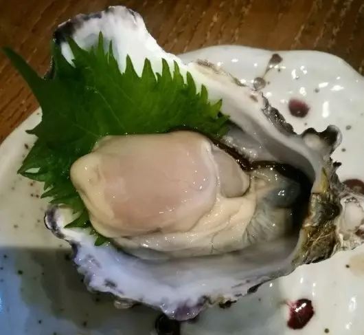 日本川床料理_上海日本料理_中森名菜日本和风料理