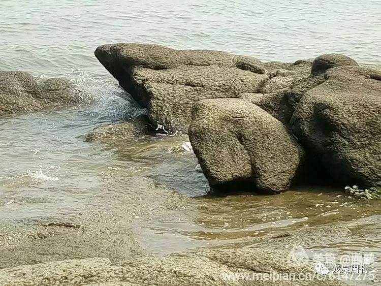 【从龙泉出发】走近大鳌(下),美轮美奂,邂逅一段美丽情缘,走近一个