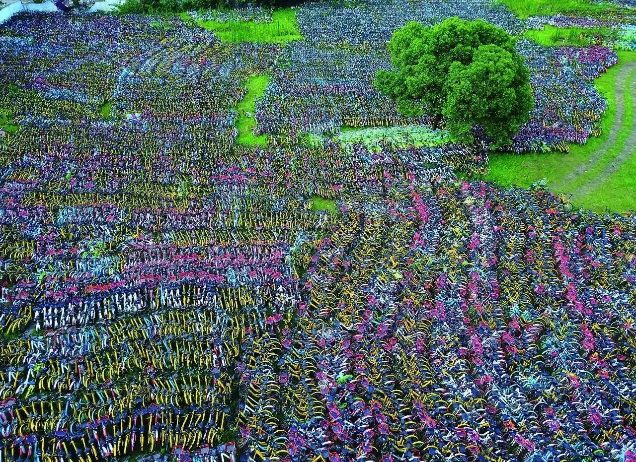 管住那辆共享单车:警惕其引发的蝴蝶效应