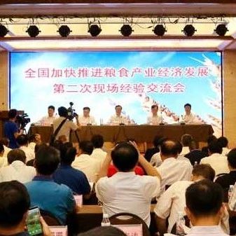 我市被国家粮食和物资储备局授予“中国好粮油行动示范市”荣誉称号