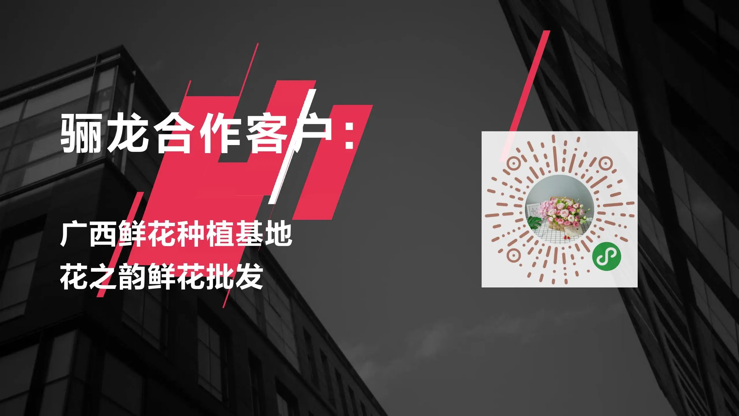 骊龙网络