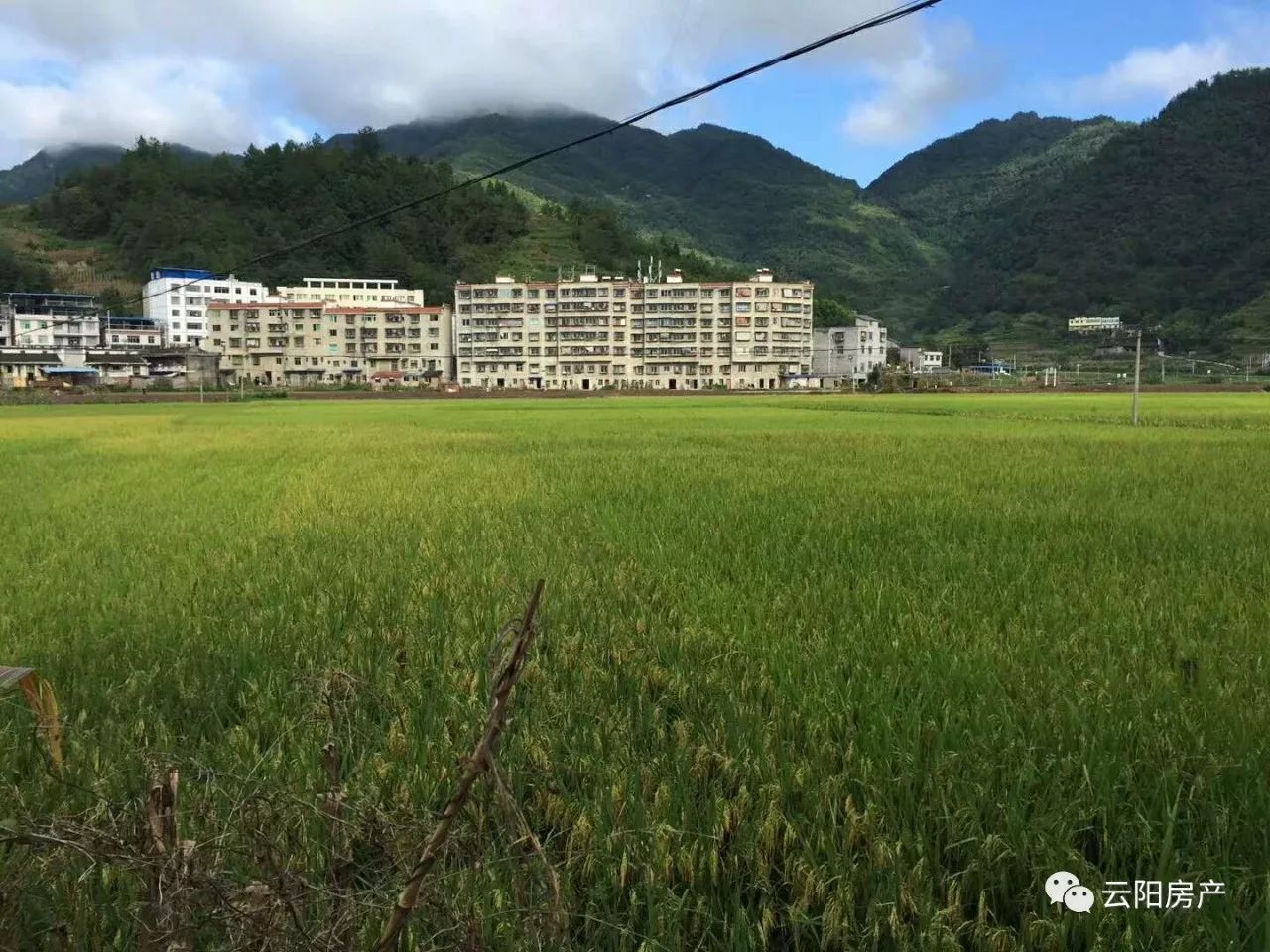 洞鹿乡位于云阳东北部山区,东临奉节县红土乡,南与红狮镇接壤,西接