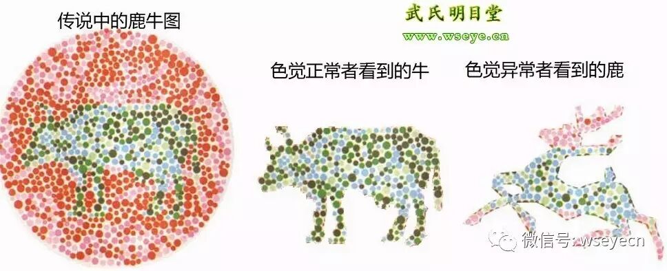 色弱非色盲，四招科学改善视力，轻松提升辨色能力，重拾多彩世界