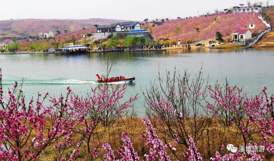 淄博市沂源县致力打造乡村旅游连片发展,桃花岛片区位于沂河源田园图片