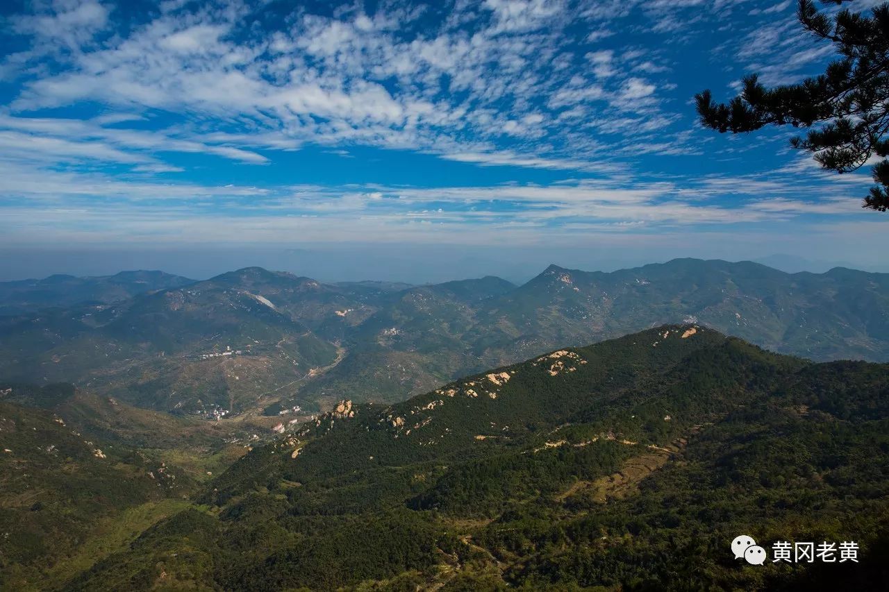 油茶飘香胡家山