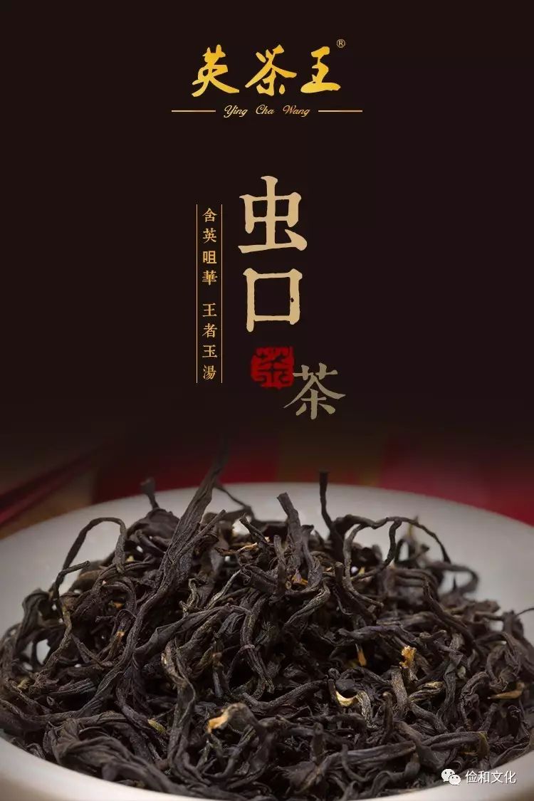 含英咀华 王者玉汤——英茶王虫口茶