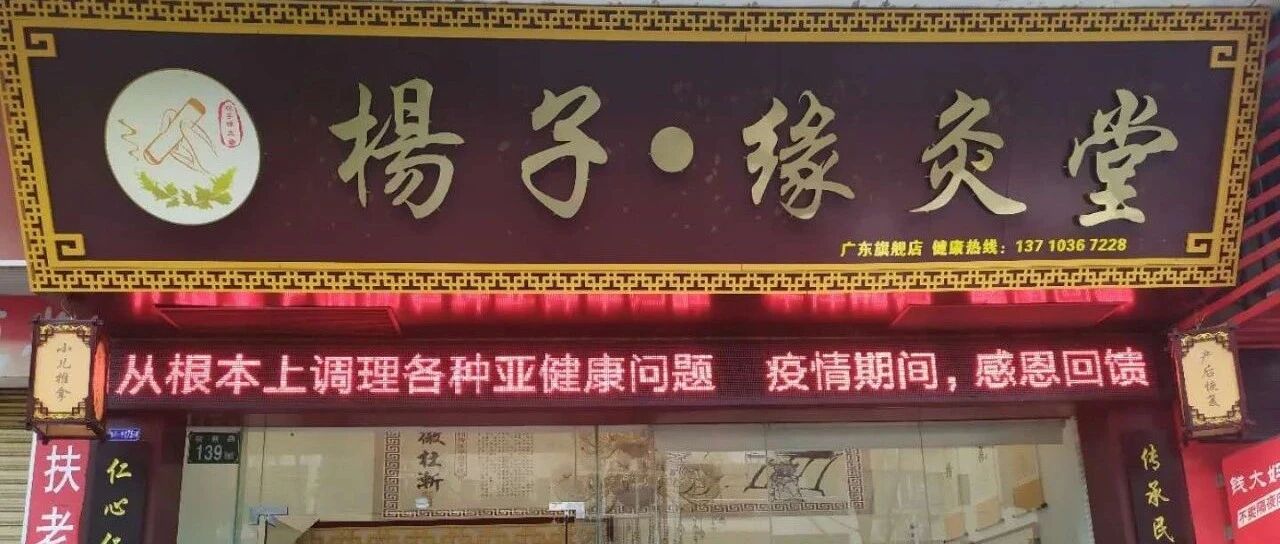 杨子&middot;缘灸堂简介