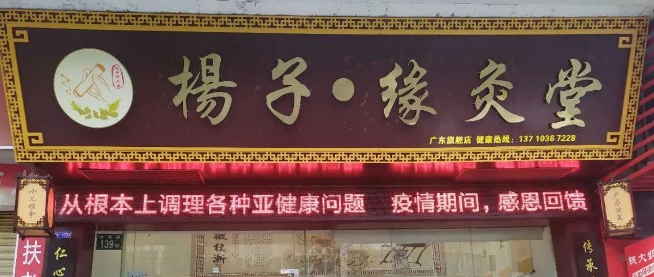 杨子&middot;缘灸堂 调理项目简介