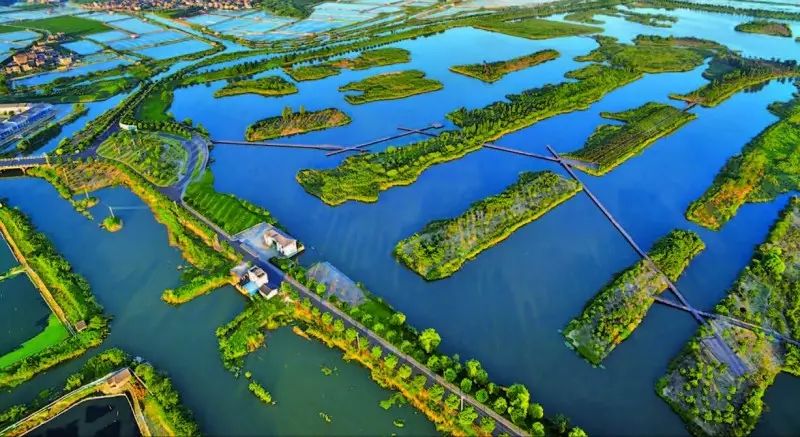 【溧阳百景】长荡湖湿地公园——蒹葭一望暮苍苍,长荡湖头烟水长