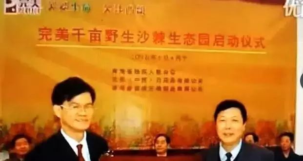 董卿,李冰冰大赞沙棘!看他们怎么说的?