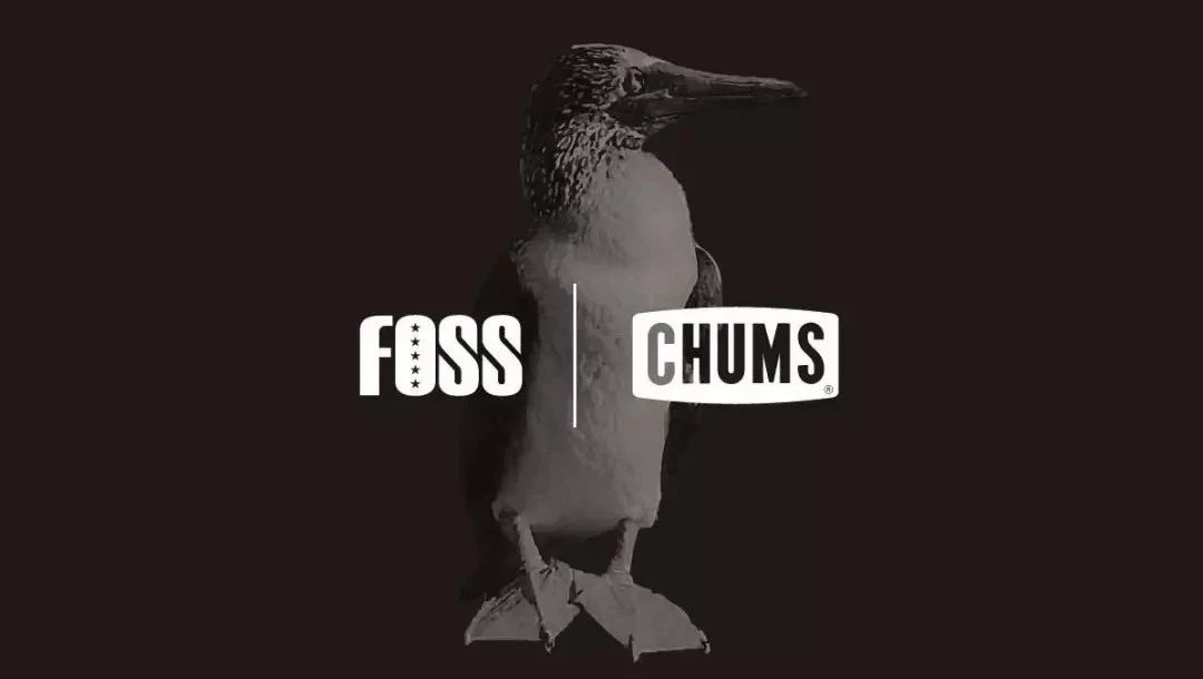 CHUMSFOSSʩһٻ