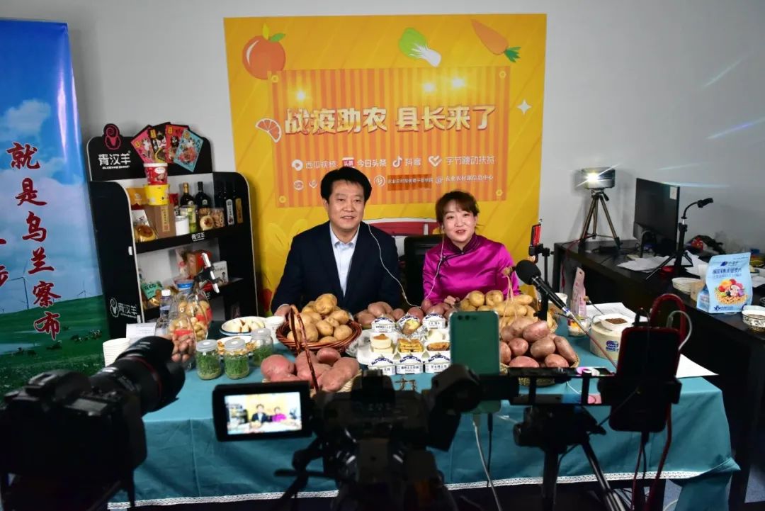 记者 张晓鹏 摄直播间,察右中旗政府副旗长王海燕与网友互动.
