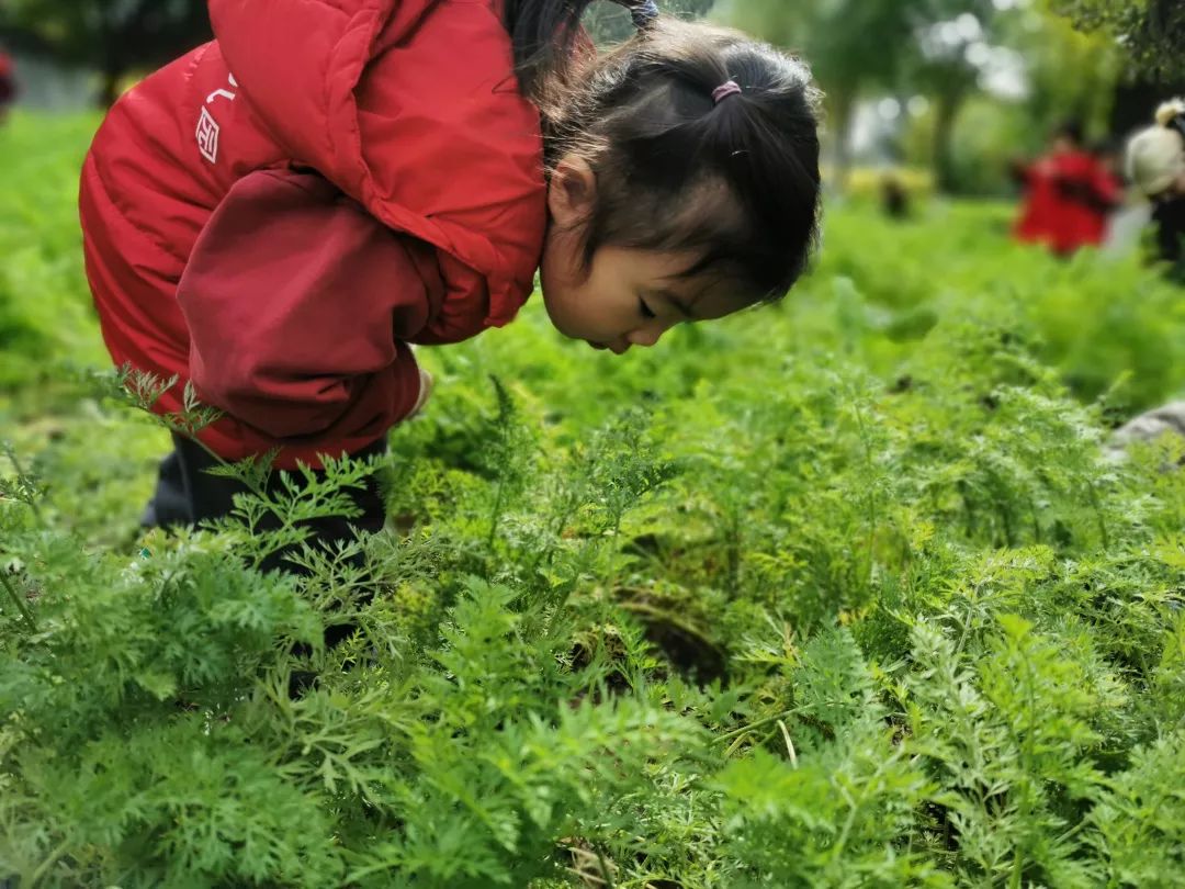 【力迈九华】远离城市喧嚣,感受自然美丽—力迈幼儿园