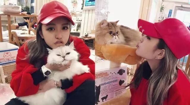 罗志祥女友搂猫猫自拍,嘟嘴卖萌尽显少女本色