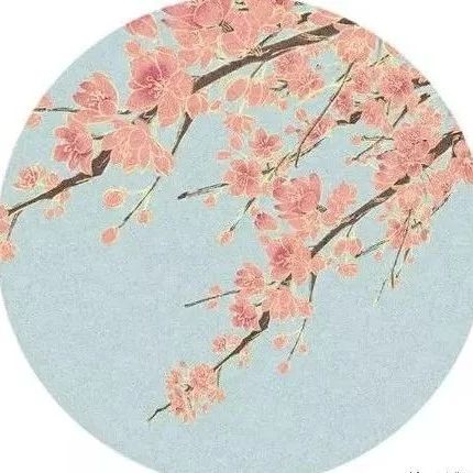 【师兄推荐】刘珂矣《芙蓉雨》一朵出水芙蓉遇一场烟雨迷蒙...