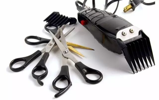 640?wx_fmt=jpeg&tp=webp&wxfrom=5&wx_lazy=1