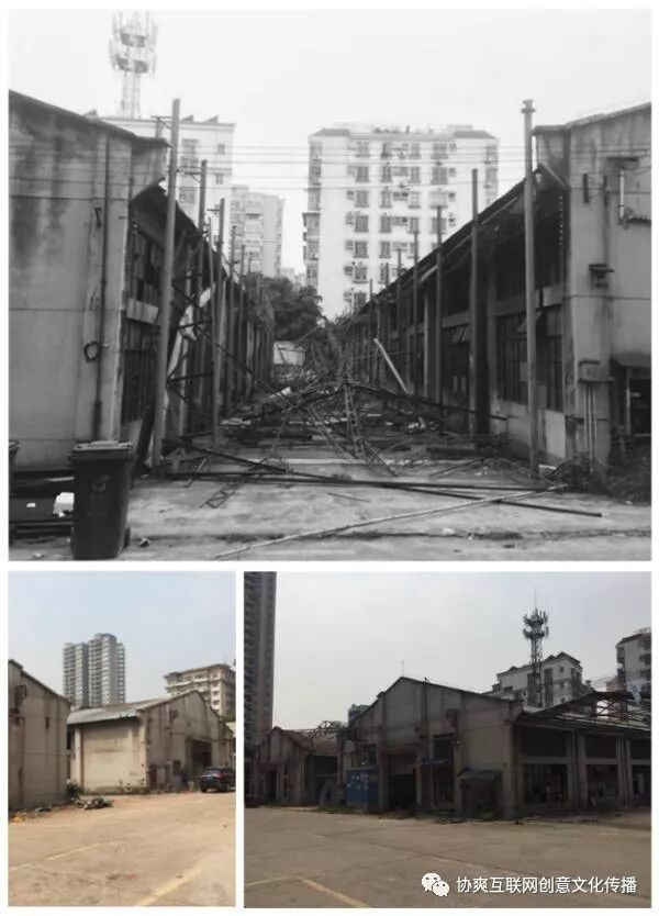 “世界创意产业之父”约翰.霍金斯携大咖组成考察团参观UP智谷