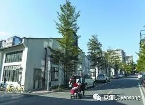 旧厂房变创意园 多家创业公司入驻