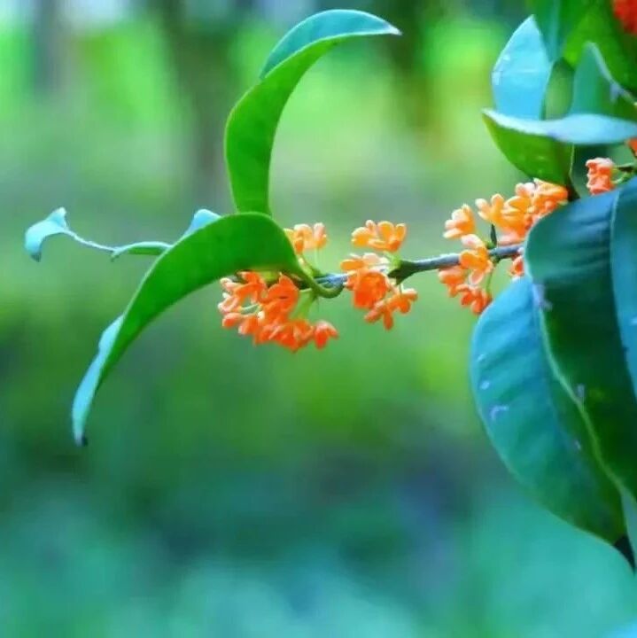 闾山法师：你没用的时候，认识谁都没用！
