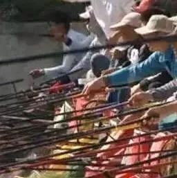 黑坑钓生口鱼的注意事项