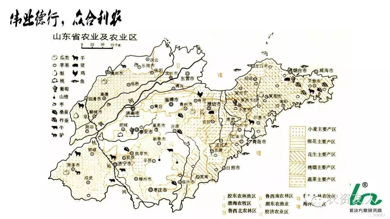山东省小麦,玉米,花生优势区域分布图!,辽宁农业种植