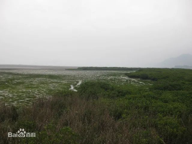 怡情海岸怡情海岸怡情海岸_著名海岸地貌景观_海岸地貌