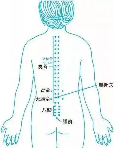 用拇指的指端甚至是肘尖,反复推揉患者腰椎椎旁病变部位的压痛点(图1)