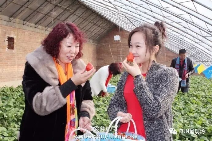 林妙可终于美回来了,不过这做作的劲儿真是辣眼睛!