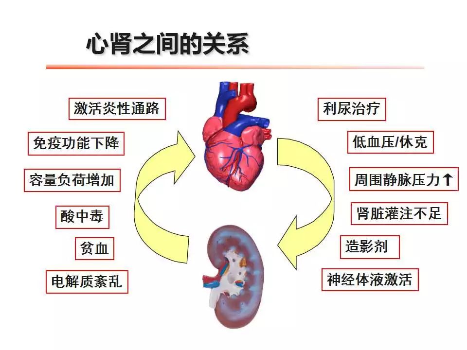 干货分享南京医科大学附属明基医院季大玺心肾综合征与crrt