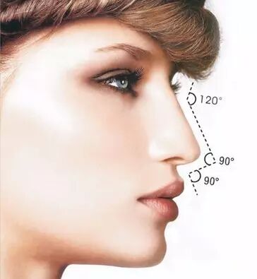 美鼻7标准，你的鼻子够美吗？